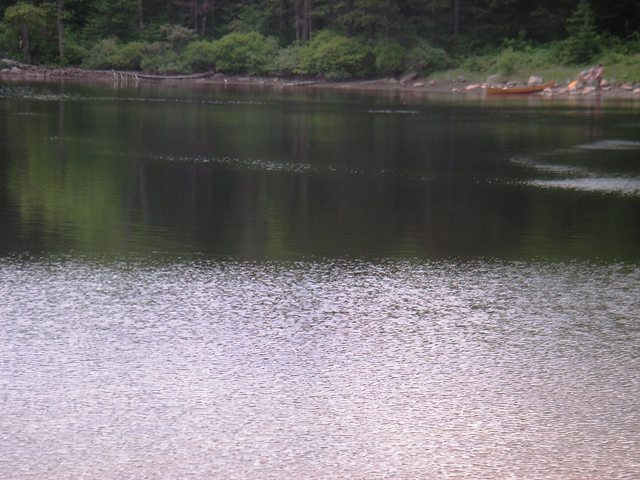 Grout Pond, 8Jun08